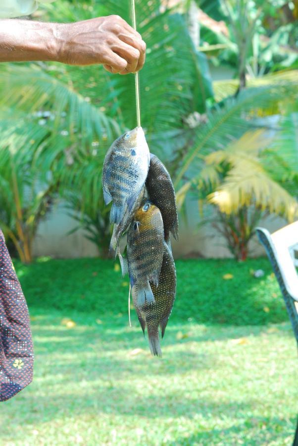 מלון Alappuzha Triveny River Palace מראה חיצוני תמונה